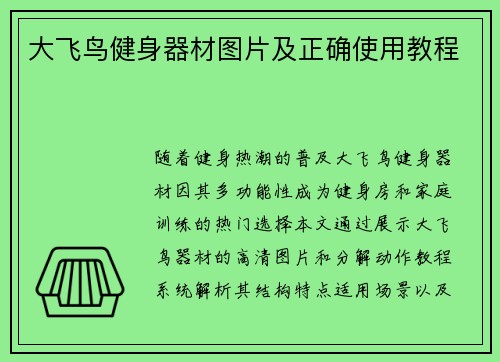 大飞鸟健身器材图片及正确使用教程